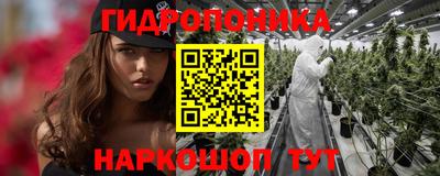 Альфа ПВП Малгобек