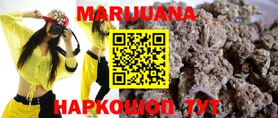 Альфа ПВП Малгобек