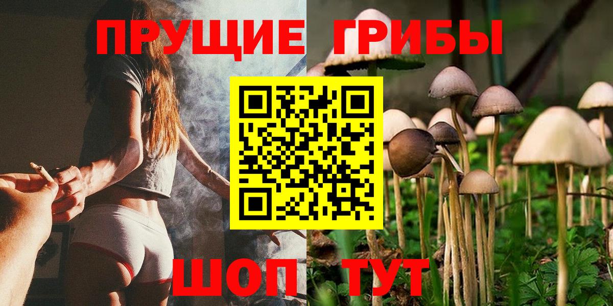 Галлюциногенные грибы мухоморы Фрязино